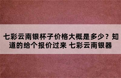 七彩云南银杯子价格大概是多少？知道的给个报价过来 七彩云南银器